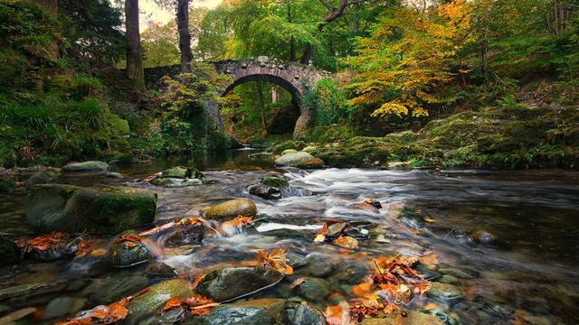 天境生物盘中异动 下午盘股价大跌5.01%